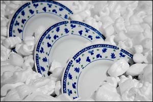 plates in packing material